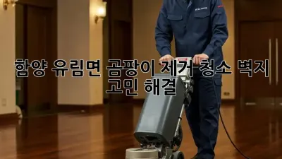 🏡함양 유림면 곰팡이 제거 청소, 벽지 고민 해결!✨