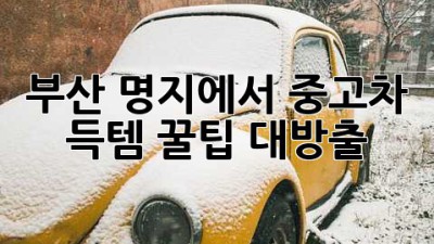 부산 명지에서 중고차 득템?! ✨꿀팁 대방출!