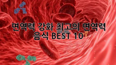 면역력 강화! 최고의 면역력 음식 BEST 10