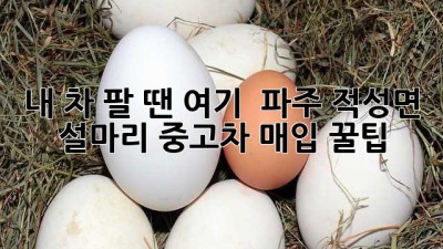 내 차 팔 땐 여기! 🚗💨 파주 적성면 설마리 중고차 매입 꿀팁